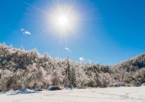 Центр «Фобос» спрогнозировал аномально теплую новогоднюю ночь в Европейской части России