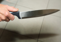 В Верхней Пышме (Свердловская область) мужчина напал с ножом на своих родителей-пенсионеров