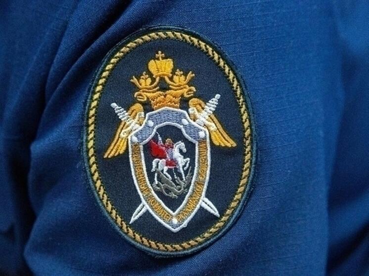 Подростку отрезало руку на Любинской птицефабрике в Омской области