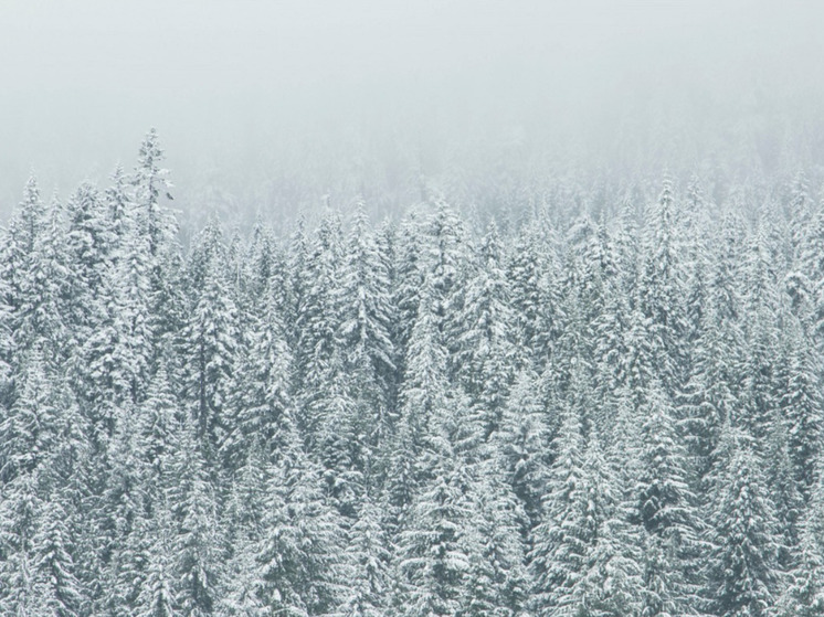 Герою-оленеводу из НАО вручили заслуженную награду