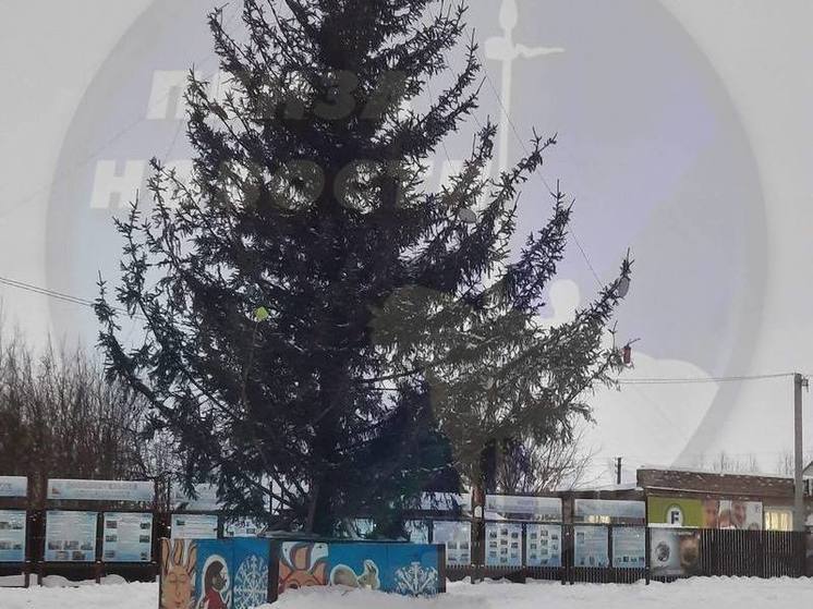 Пензенский губернатор велел заменить убогие елки в регионе