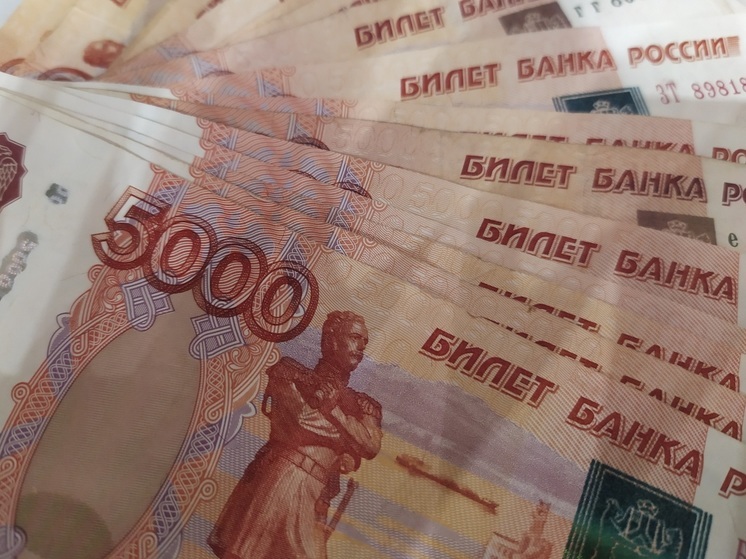 Более 69 млрд рублей направят на социальную поддержку вологжан в 2024 году