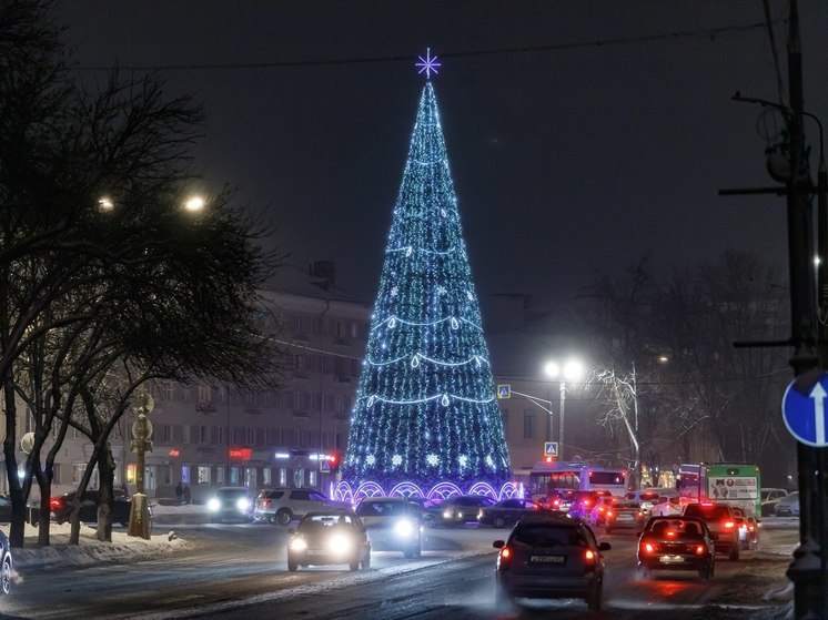 «Елочка, гори!»: чем удивили украшения и новогодние елки Псковской области