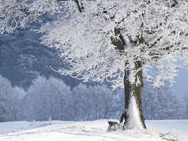 Синоптики 28 декабря предсказывают в Смоленске небольшое похолодание