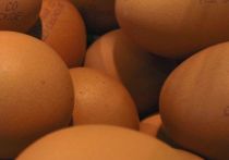 Федеральная антимонопольная служба (ФАС) России рекомендовала властям регионов заключать соглашения с бизнесом о стабилизации цен на куриные яйца