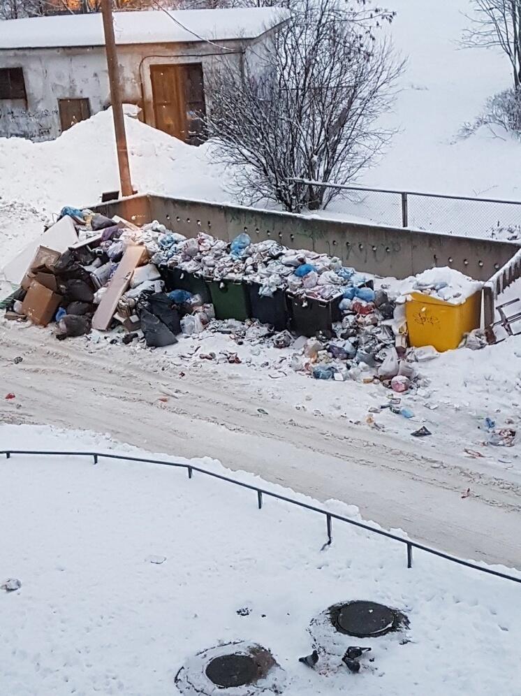 Город-банкрот? Жители Петрозаводска в шоке от состояния мусорных площадок