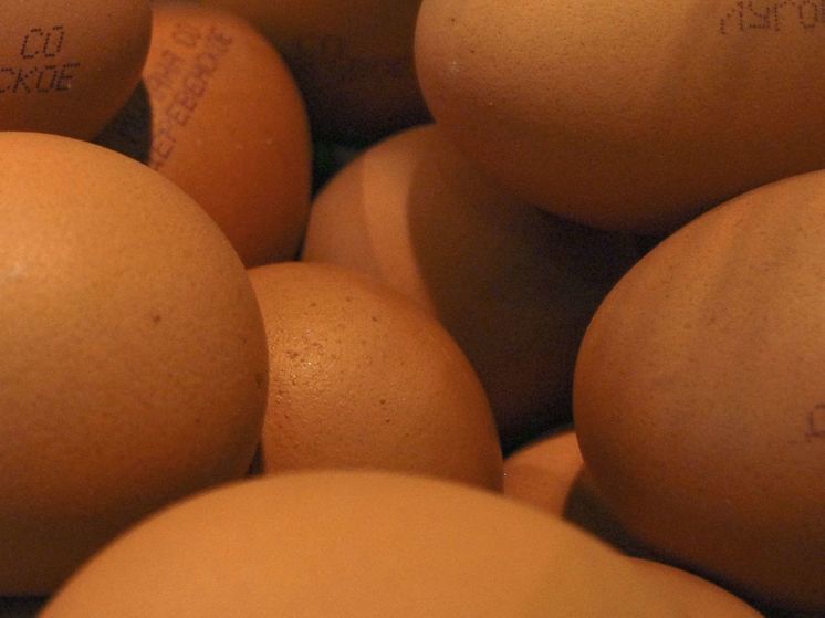 ФАС предложила регионам и бизнесу способ стабилизировать цены на яйца