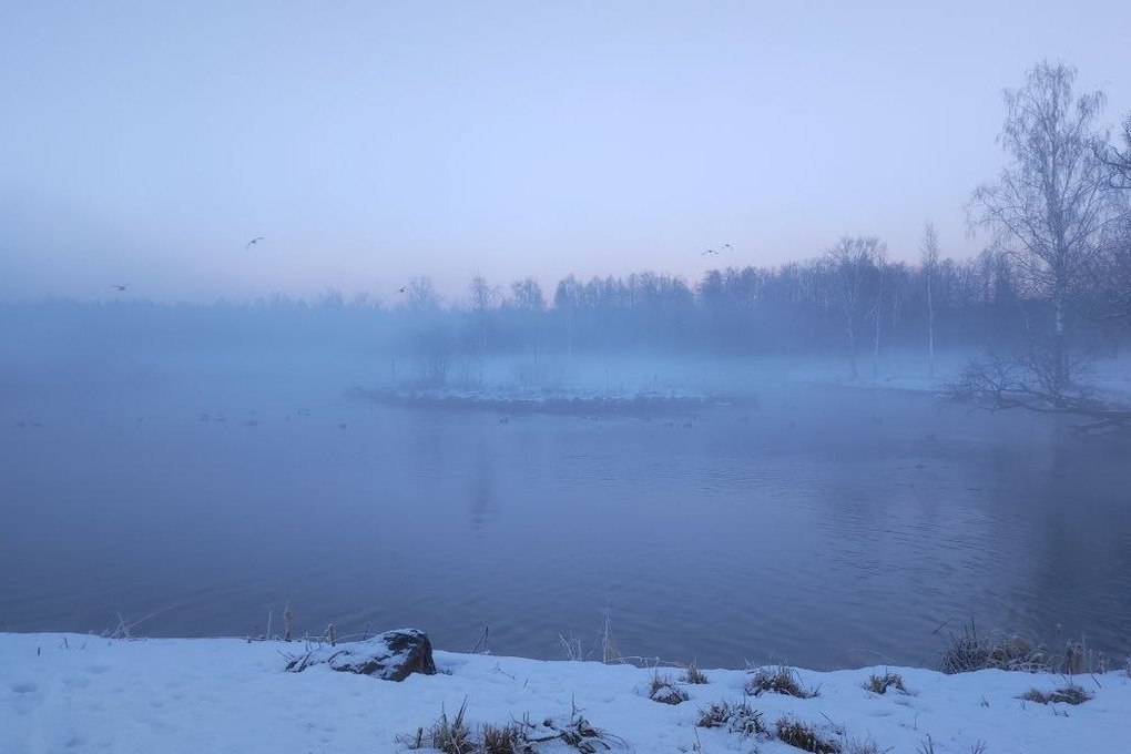 Снег и туман ожидается в Ленобласти 28 декабря