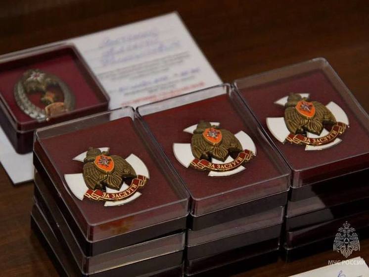 Спасателей ДНР наградили ведомственными наградами в честь профессионального праздника