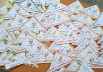 Бойцам специальной военной операции из Забайкалья около 100 детских писем с рисунками и новогодними поздравлениями подготовил Сохондинский заповедник вместе с региональным отделением «Движения первых»