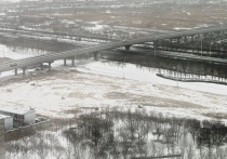 Фотографии с места аварийной посадки пассажирского самолета Ан-24 компании "Полярные авиалинии" в Якутии были опубликованы Telegram-каналом Shot