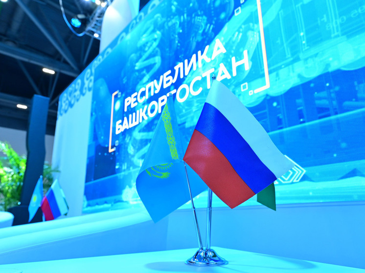 Башкирские власти вплотную занялись проблемами технологического суверенитета