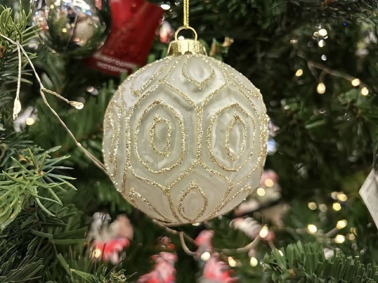 Озвучен график работы МФЦ в Хабаровском крае