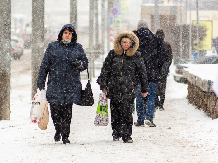 Метель, ветер и мокрый снег: в Томске объявлено штормовое предупреждение