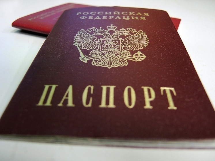 Девять уроженцев ближнего зарубежья в Санкт-Петербурге лишили гражданства РФ из-за совершенных ими преступлений
