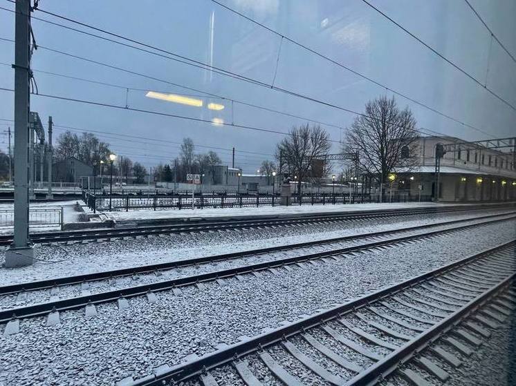 Электричка насмерть сбила пенсионера в Выборгском районе
