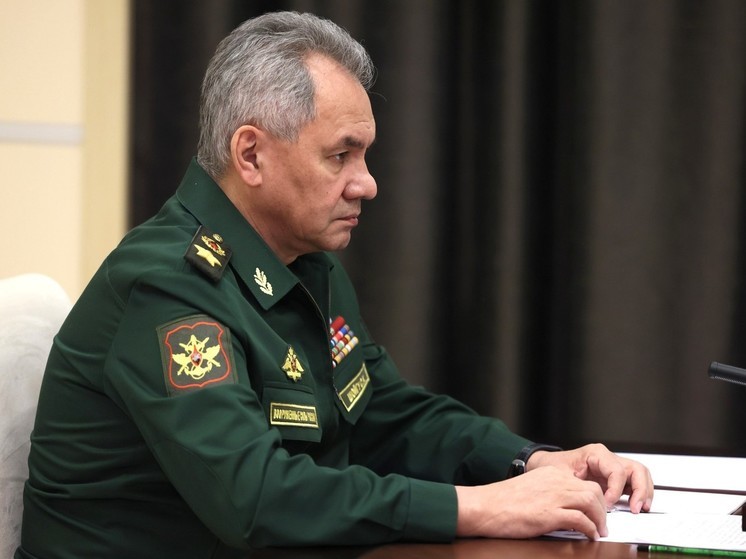 Министр обороны Шойгу пообещал познакомить 15-летнюю москвичку с пилотажными группами