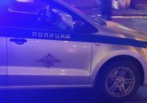 В Петербурге женщина заманила к себе в квартиру двух школьников и избила их палкой. Также женщина угрожала детям ножом, сообщил источник в правоохранительных органах.