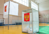 Кандидат от Демократической партии России Ирина Свиридова будет участвовать в президентских выборах в 2024 году