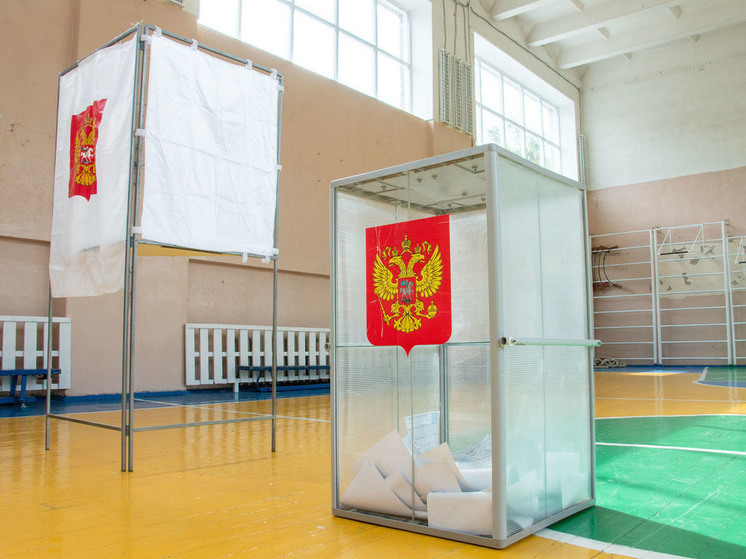 Candidate from the Democratic Party of Russia Irina Sviridova submitted documents to the Central Election Commission to participate in the presidential elections of the Russian Federation