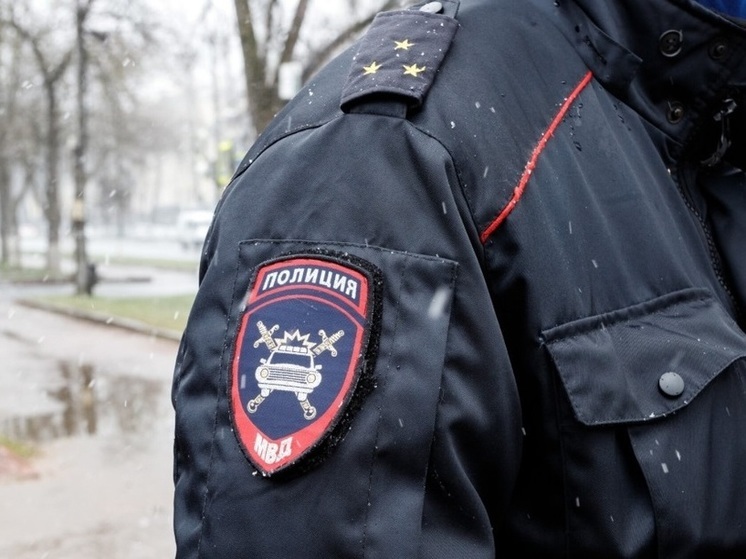 Два уголовных дела по факту угона автомобилей возбудили в Псковской области после операции «Авто-VIN»