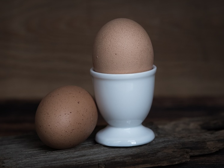 В Росстате сообщили о снижении яйценоскости кур-несушек в России