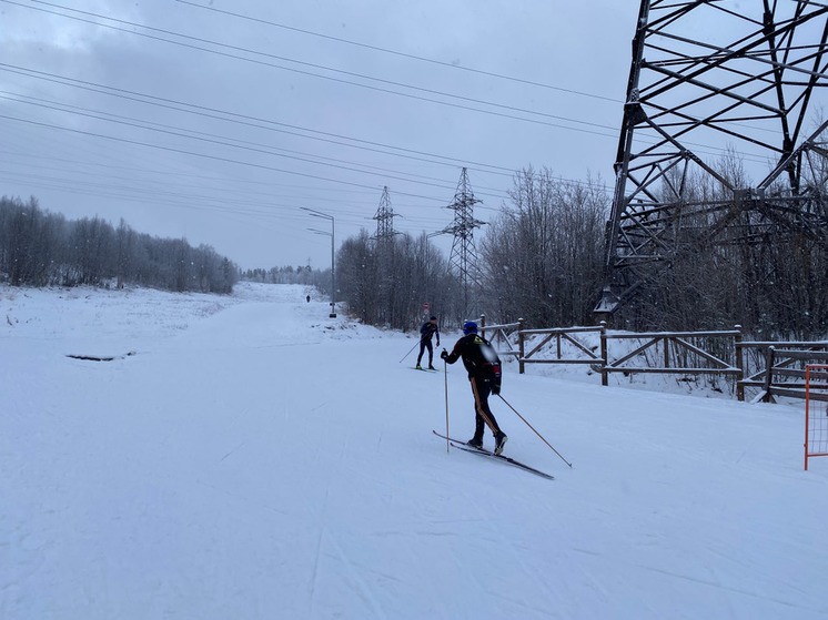 В Мурманской области открыли онлайн-регистрацию на Лыжню России