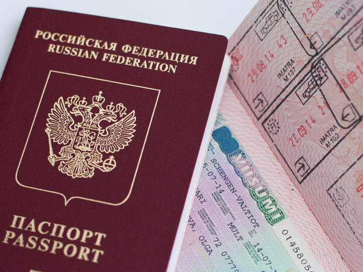 В Петербурге 9 человек лишились паспортов России по новому закону о гражданстве