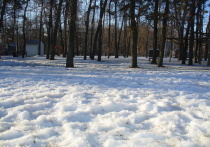29 декабря погода в Белгородской области будет колебаться от минуса ночью до небольшого плюса днем