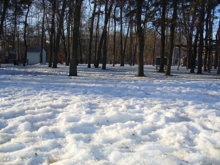 В ночь на 29 декабря в Белгородской области пройдет небольшой снег