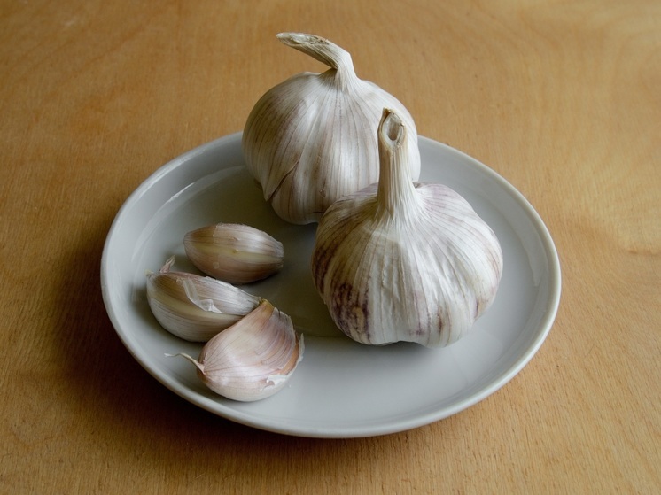 Занятия в точках образования НАО приостановили из-за ОРВИ