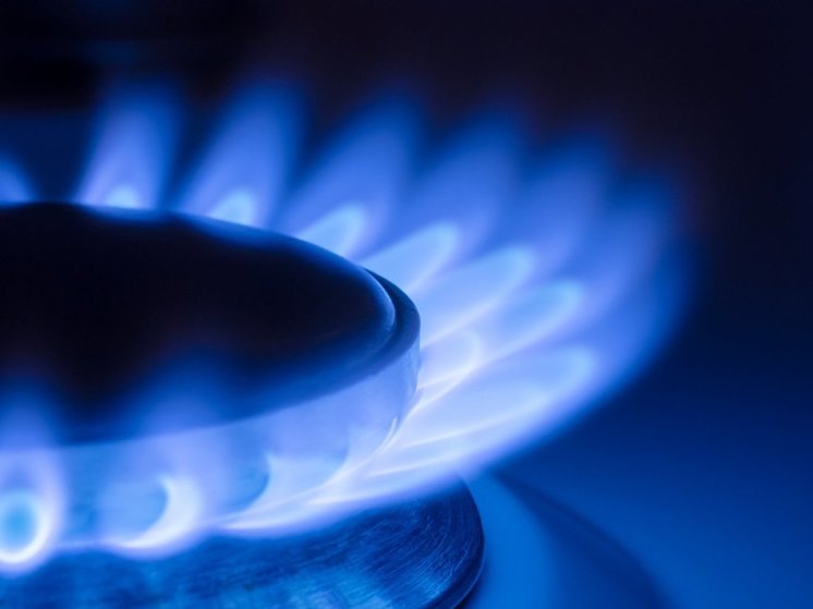 Казанцам рассказали о поведении животных при запахе газа в доме