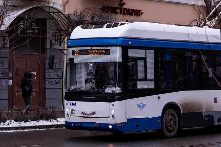 В Ростове в новогодние праздники общественный транспорт изменит свое расписание