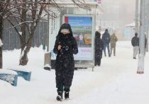 Январские каникулы в Москве в целом пройдут "под управлением настоящей русской зимы"