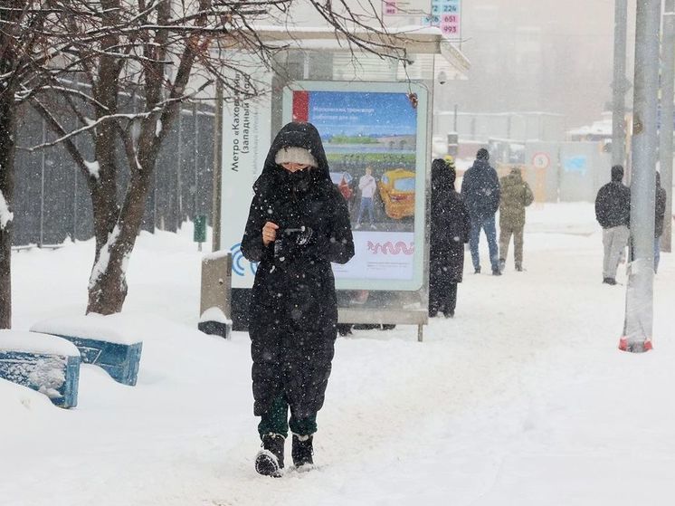 Москвичам рассказали о погоде в январские каникулы