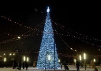 В Оренбурге на территории будущего парка на пересечении проспекта Гагарина, улиц Чкалова и Ленинградской появилась елка высотой 15 метров
