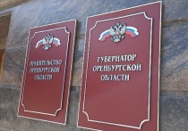 Кресло губернатора Оренбургской области может занять депутат Госдумы