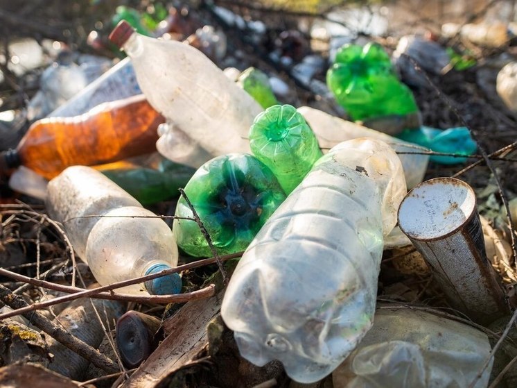 Мусорная гора размером с дачный участок росла в лесу в Карелии три года