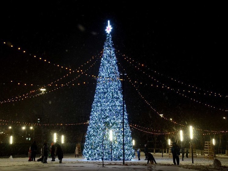 В Оренбурге на месте будущего парка поставили елку
