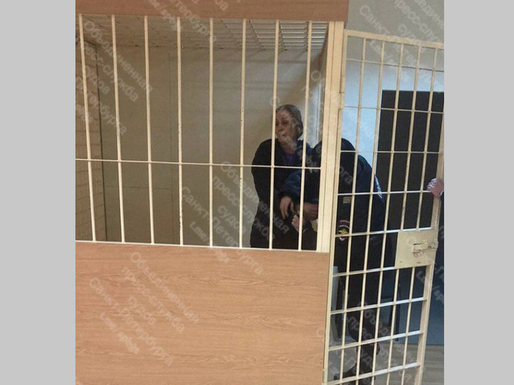 Избившую нунчаками двух младшеклассников петербурженку заключили под стражу