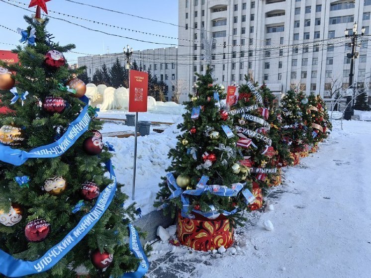 В Хабаровске 29 декабря температура воздуха остается в пределах -12 -14 градусов