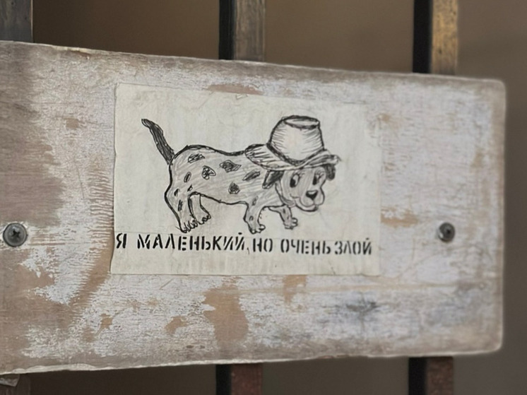 В Туле и области усилят контроль за приютами для животных