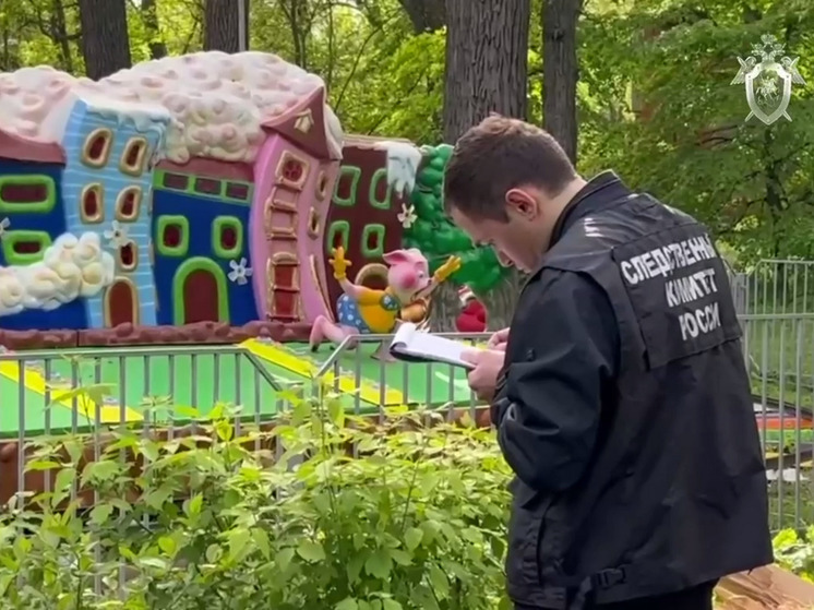 В Саратове начинается суд после гибели двух человек в Городском парке