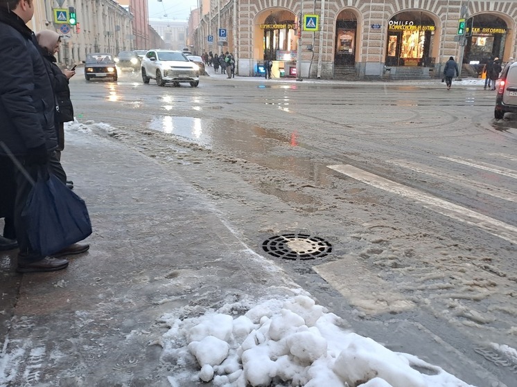 Мокрый снег и до -3 градусов: какая погода будет в Петербурге 29 декабря