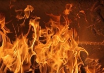 В Калаче-на-Дону Волгоградской области загорелся частный дом