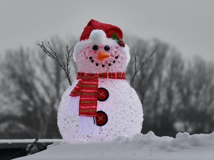В Новокузнецке дети слепили 6-метрового снеговика