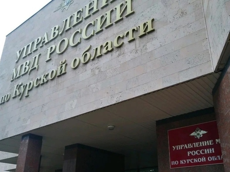 В Курской области женщина включила демонстрацию экрана и попала на 1 млн 750 тысяч рублей