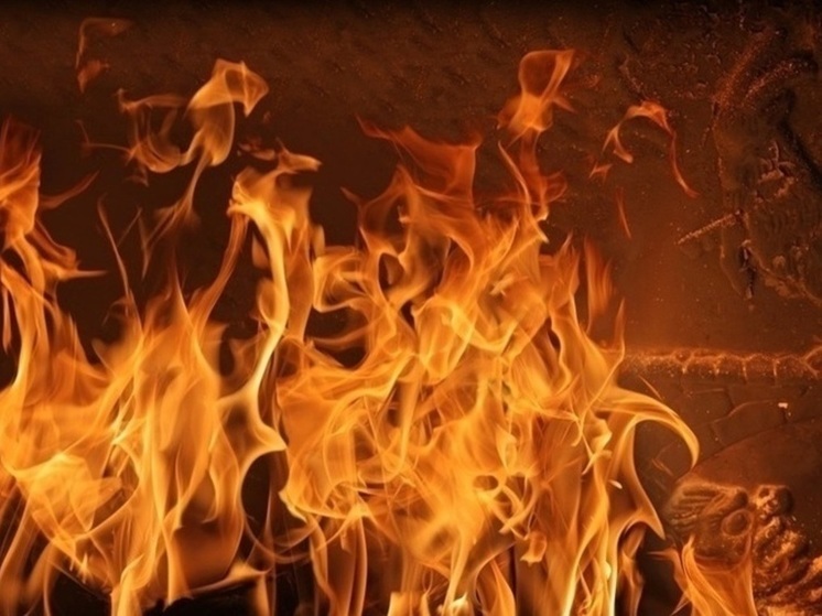В Волгоградской области при пожаре погибли трое человек, включая двоих детей