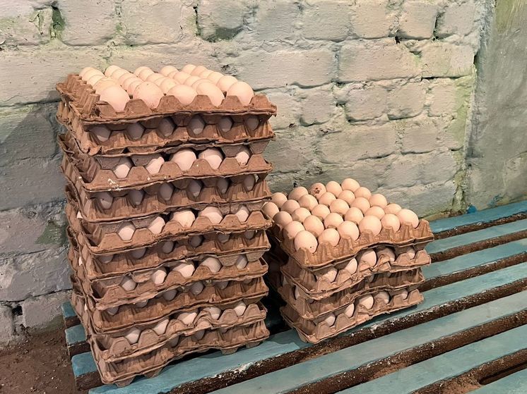 Меморандум для сдерживания цен на куриные яйца подписали в Забайкалье