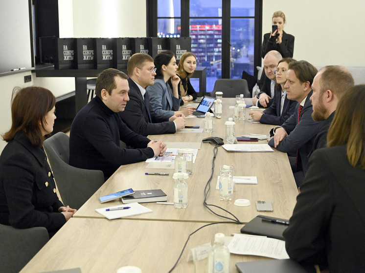 Власти Мурманской области обсудили разработку мастер-планов опорных пунктов АЗРФ
